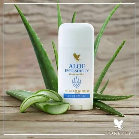 ALOE EVER SHIELD