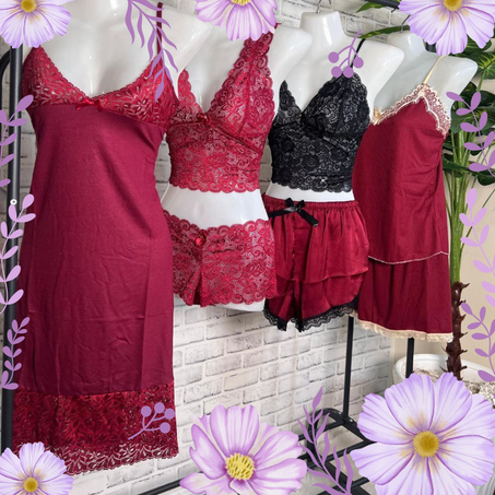 Pack GAZANIA باقة كزانيا