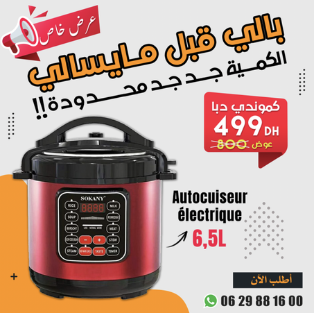Hoffmans electric pressure cooker 6.5L (PROMO)