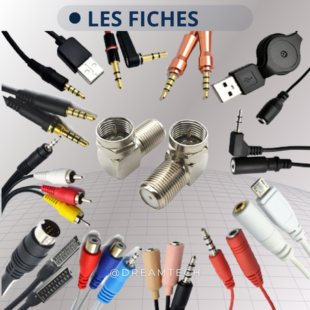 ＬＥＳ ＦＩＣＨＥＳ