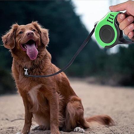 Laisse pour animaux de compagnie - Abepet