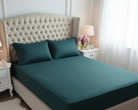 Housse de matelas et 2 oreillers