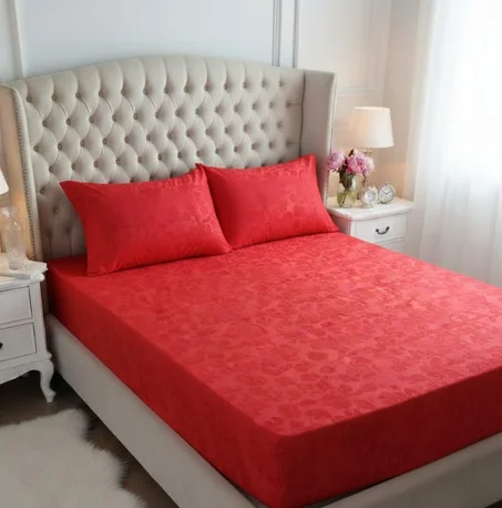 Housse de Matelas et 2 oreillers