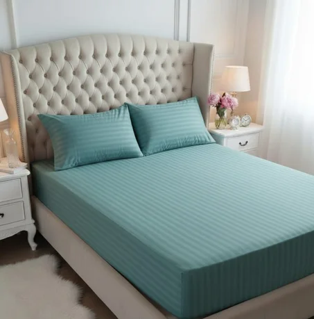 Housses de matelas et 2 oreillers