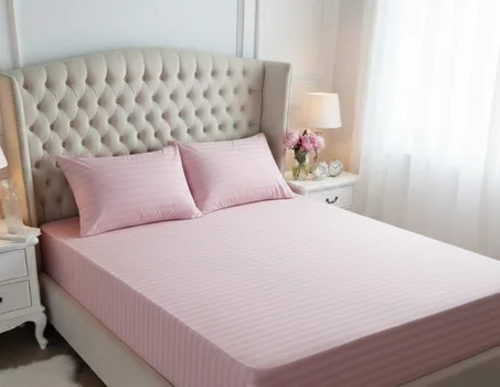 Housses de matelas et 2 oreillers