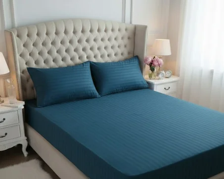 Housses de matelas et 2 oreillers