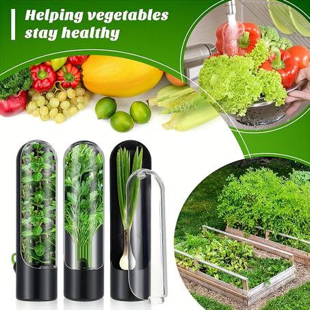 food preservation tools