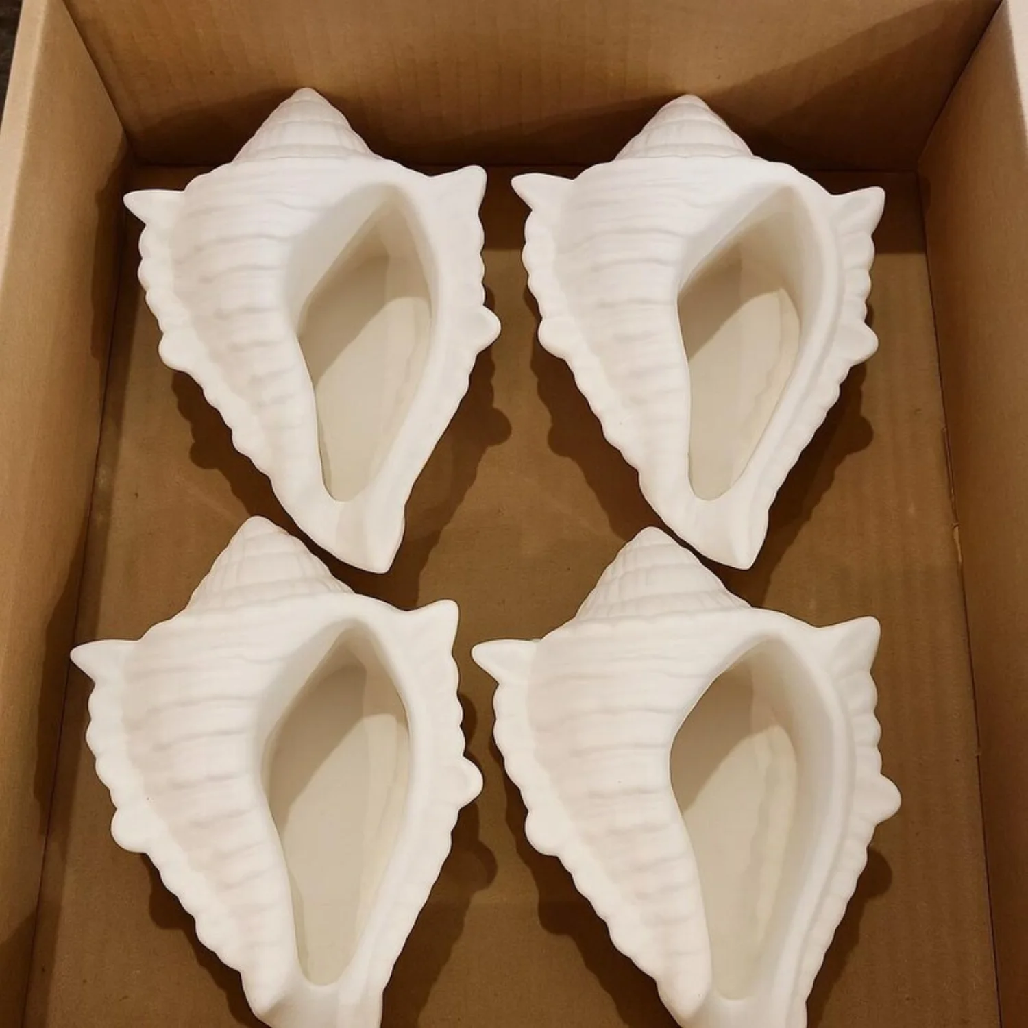 Sculpture coquillage – Concrete blanc