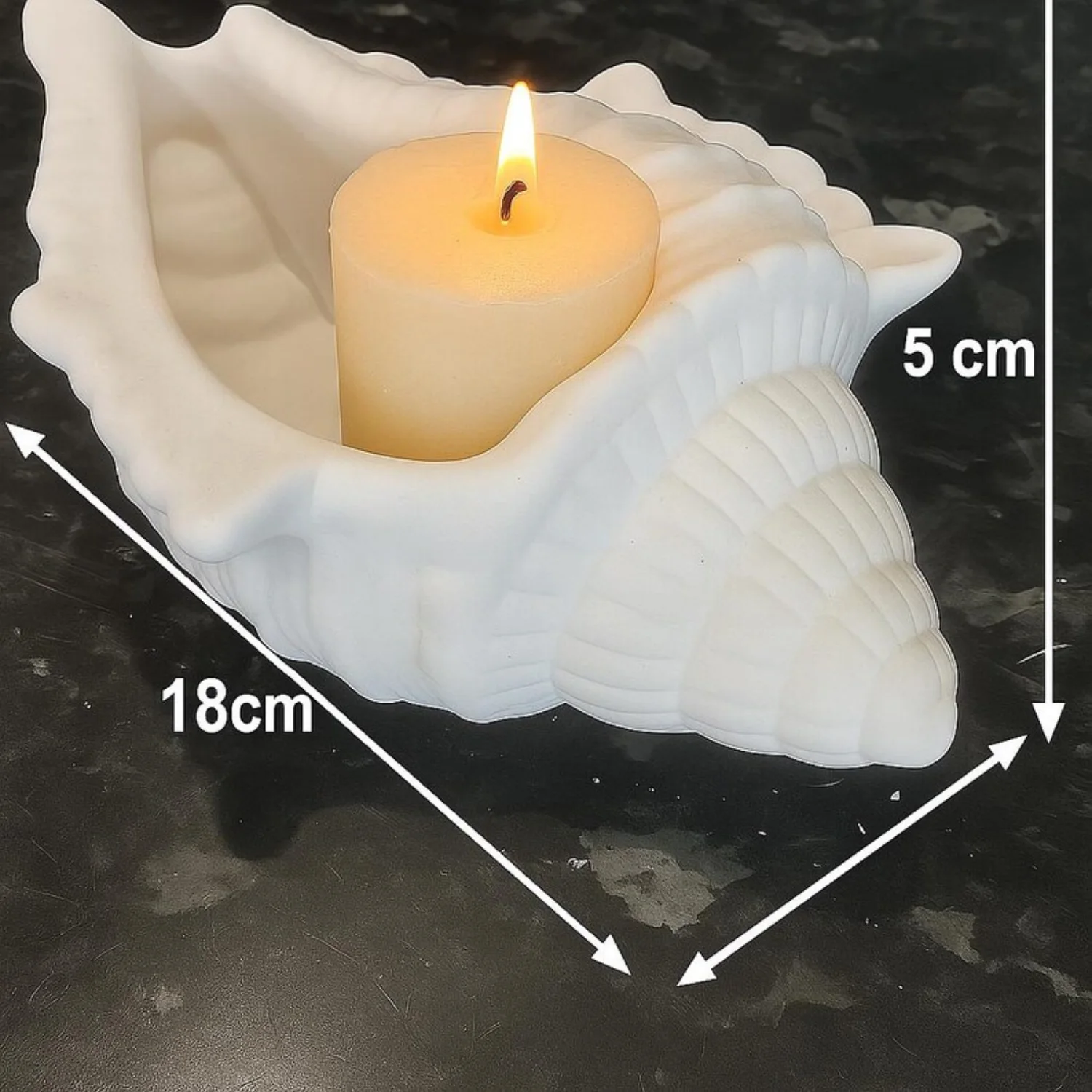 Sculpture coquillage – Concrete blanc