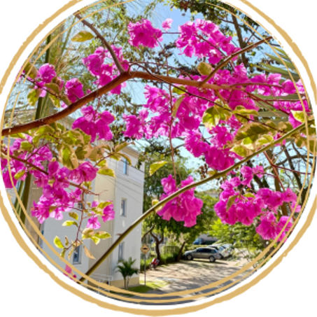 العناية بالبشرة والشعر ( لكي سيدتي )