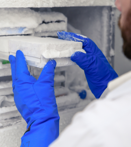 SISTEMAS DE AISLAMIENTO