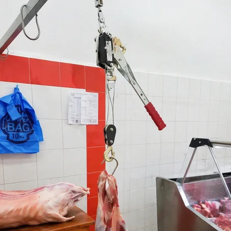 رافعة يدوية فولاذية لسحب 2 طن بدون كهرباء