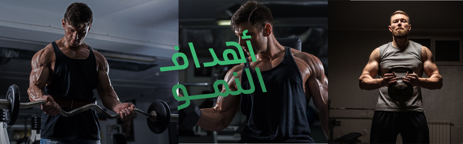 slider-image