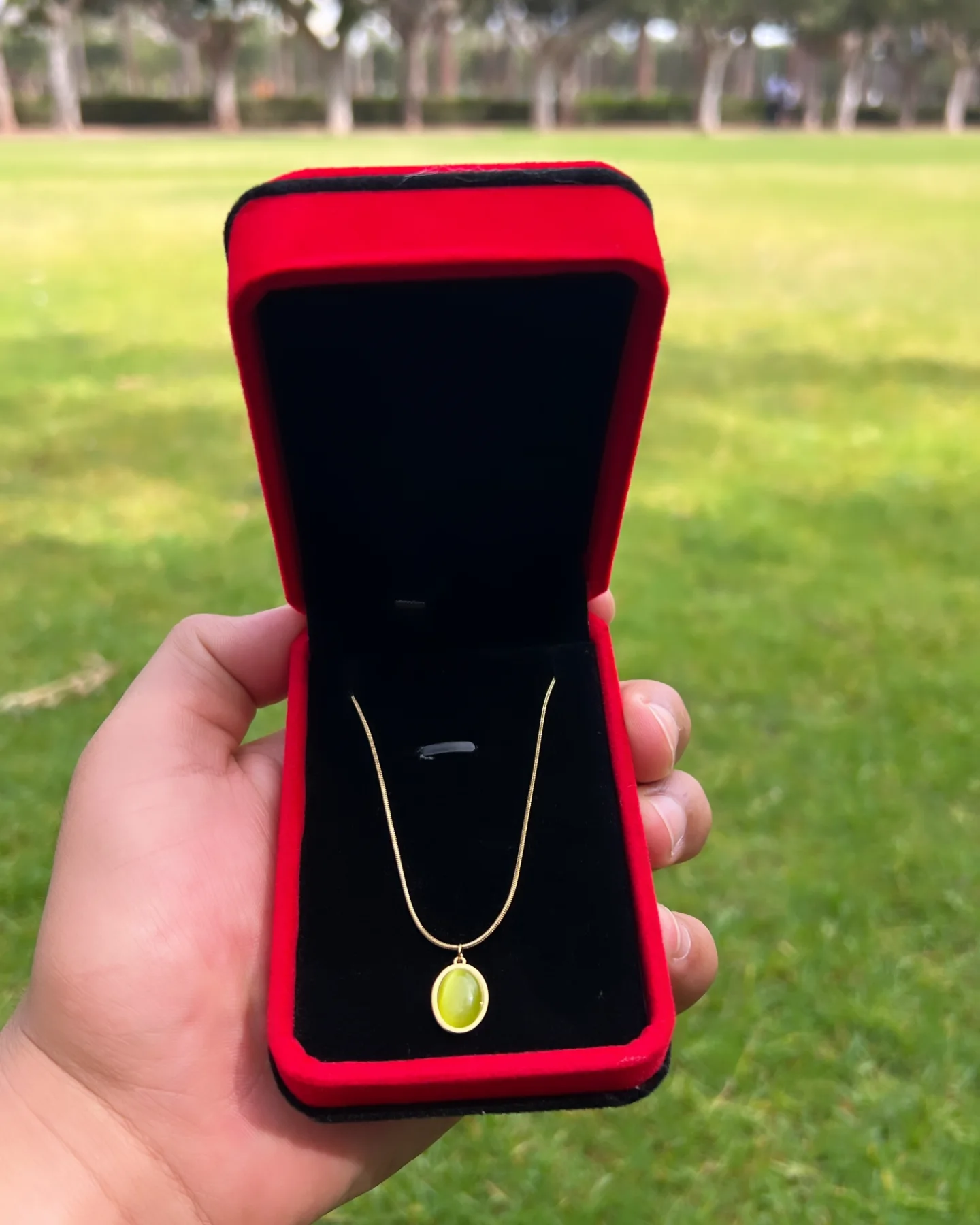 Collier Moonstone de Qualité Prémium