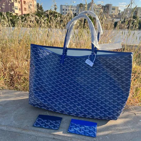sac saint louis  goyard
