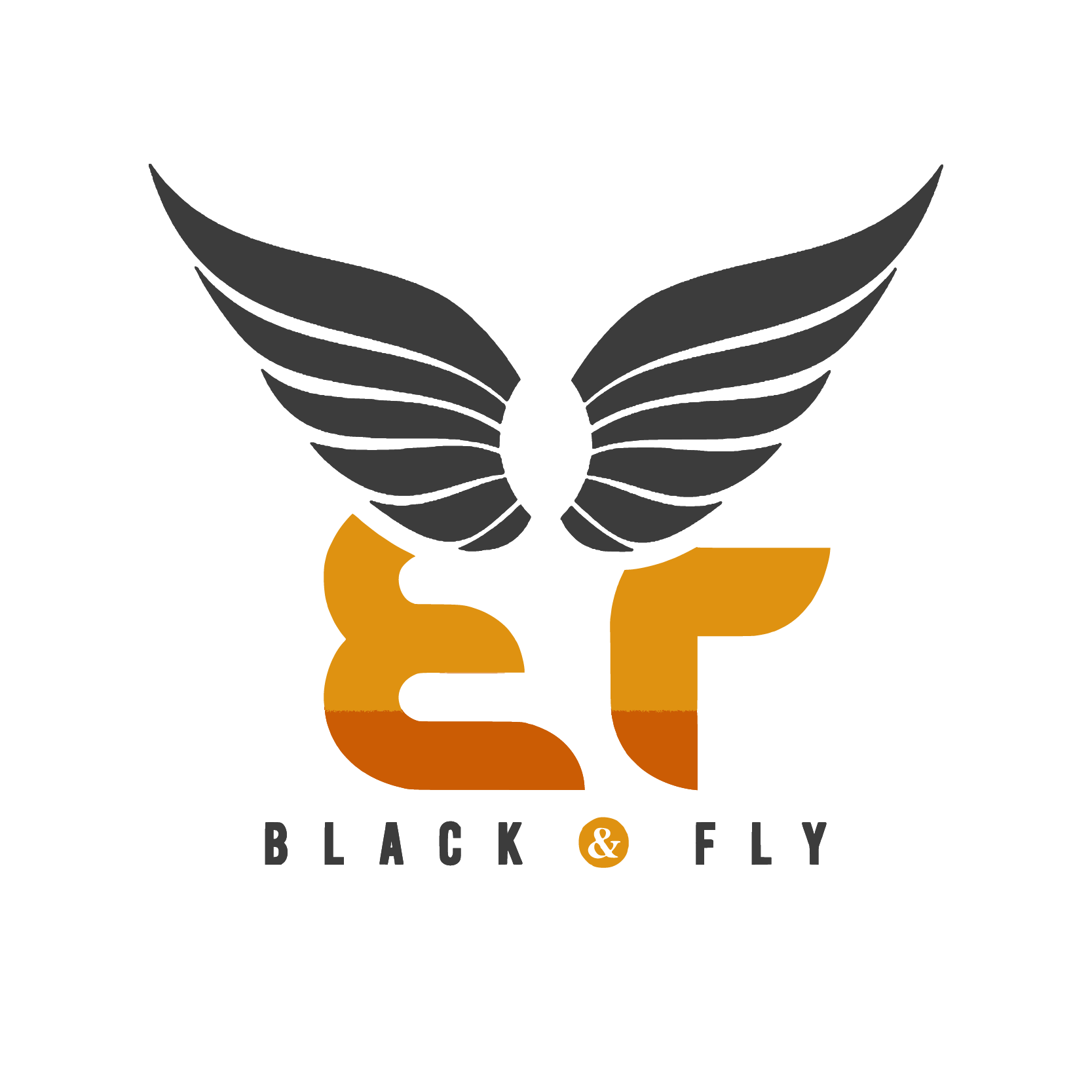 Blackandfly