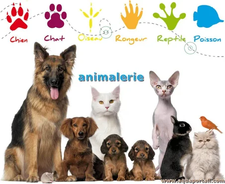 Animalerie