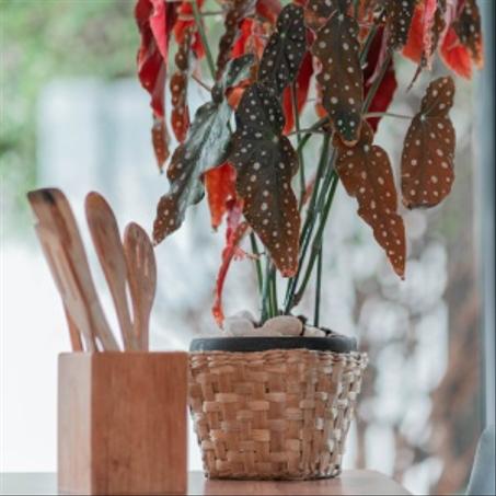 المنزل والديكور