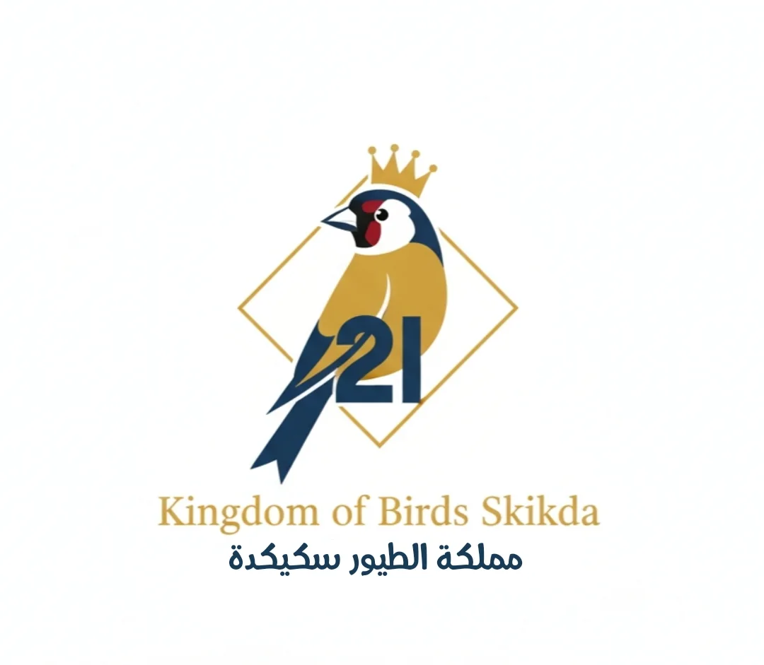 Kingdom of Birds