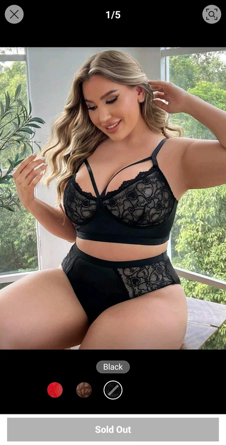 Ensemble de lingerie sexy grande taille 2 pièces en dentelle, soutien-gorge et culotte