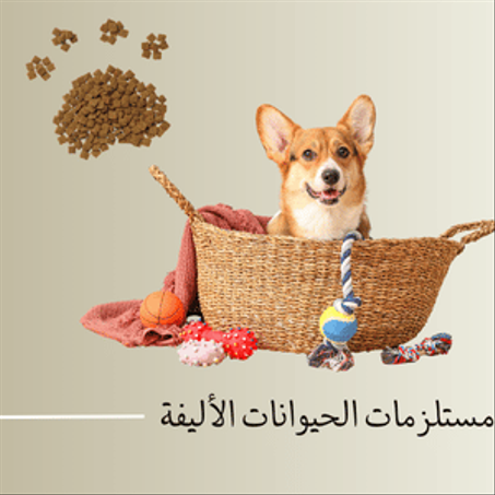 مستلزمات الحيوانات الأليفة
