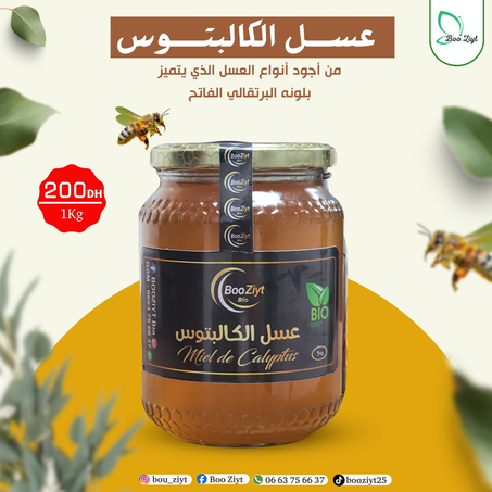 عسل الكلبتوس