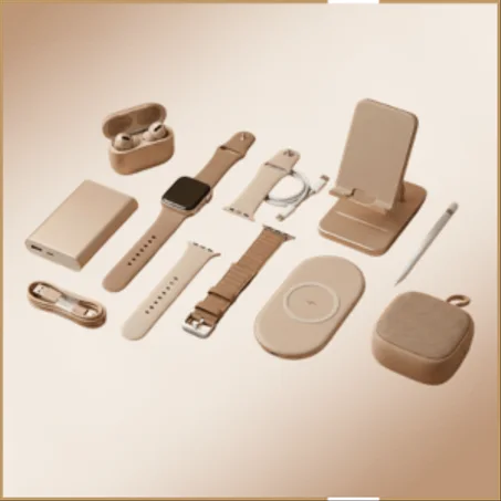 الاكسسوارات