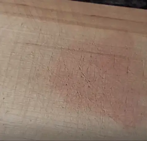 القطاعة العجيبة لجميع شهيوات لكوزينة