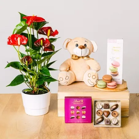 la composition parfaite