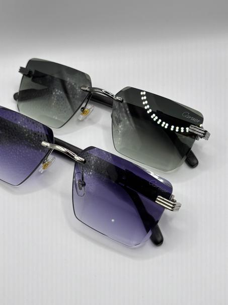 LUNETTE CARTIER 2