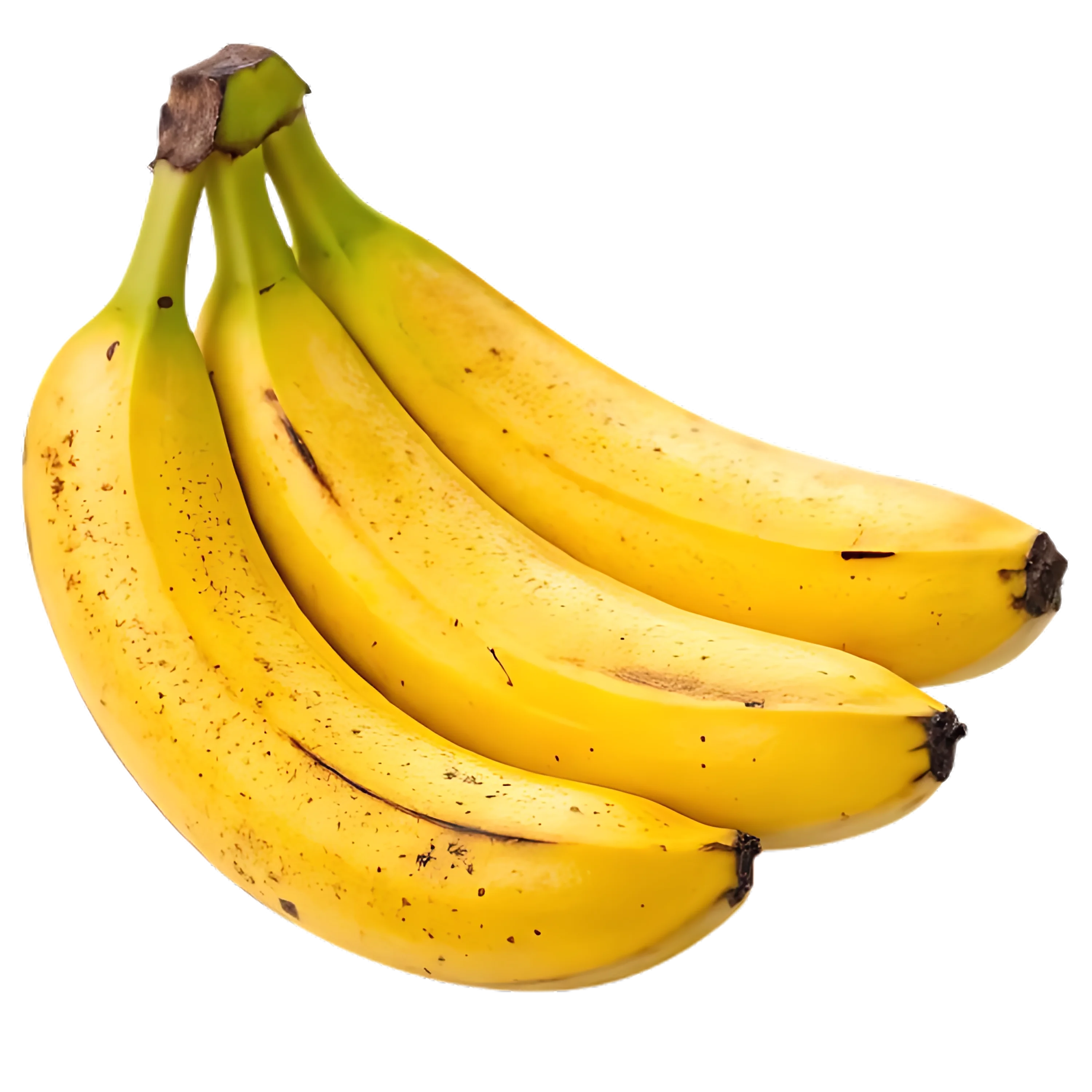 BANANE DE MAROC – موز المغرب