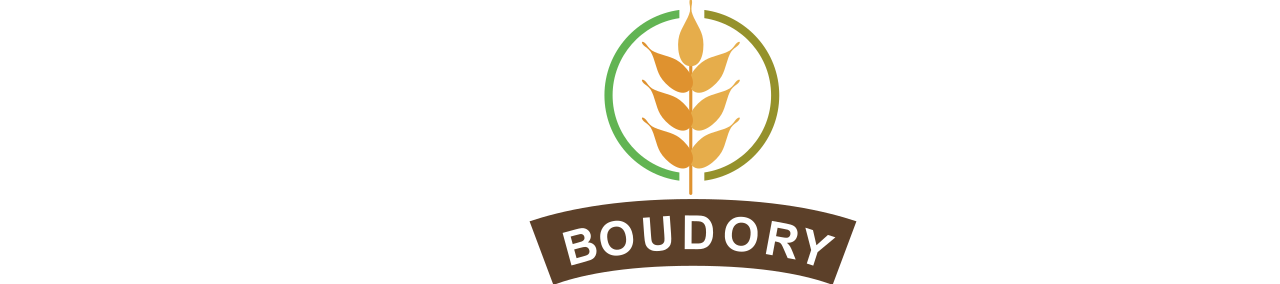 Boudory