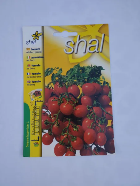 Les graines de tomates