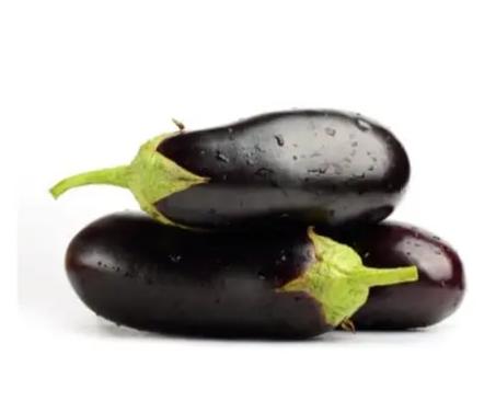 دنجال جديد وطري