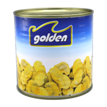 قطع وشرائح الفطر