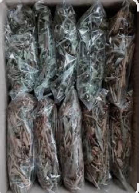 ساشي ديال الويزة