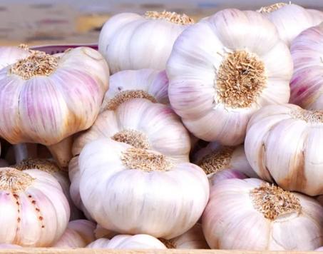 رابعة تومة جودة زوينة