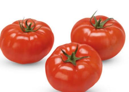 مطيشة جديدة وطرية كول يوم