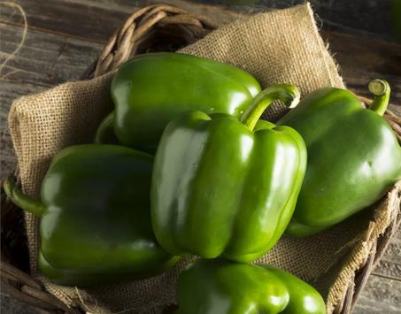 الفالفلة الخضرة طرية