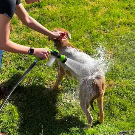 Pistola de agua para baño de Perros