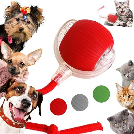 الكرة الذكية 4 في 1 - الرفيق المثالي لقطك أو كلبك!