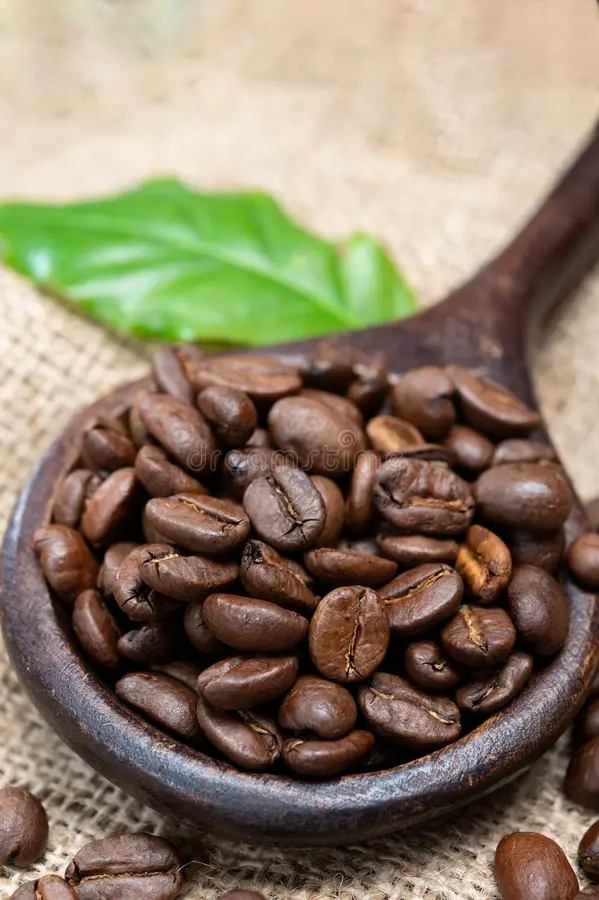 Arabica & Robusta Coffee Blend