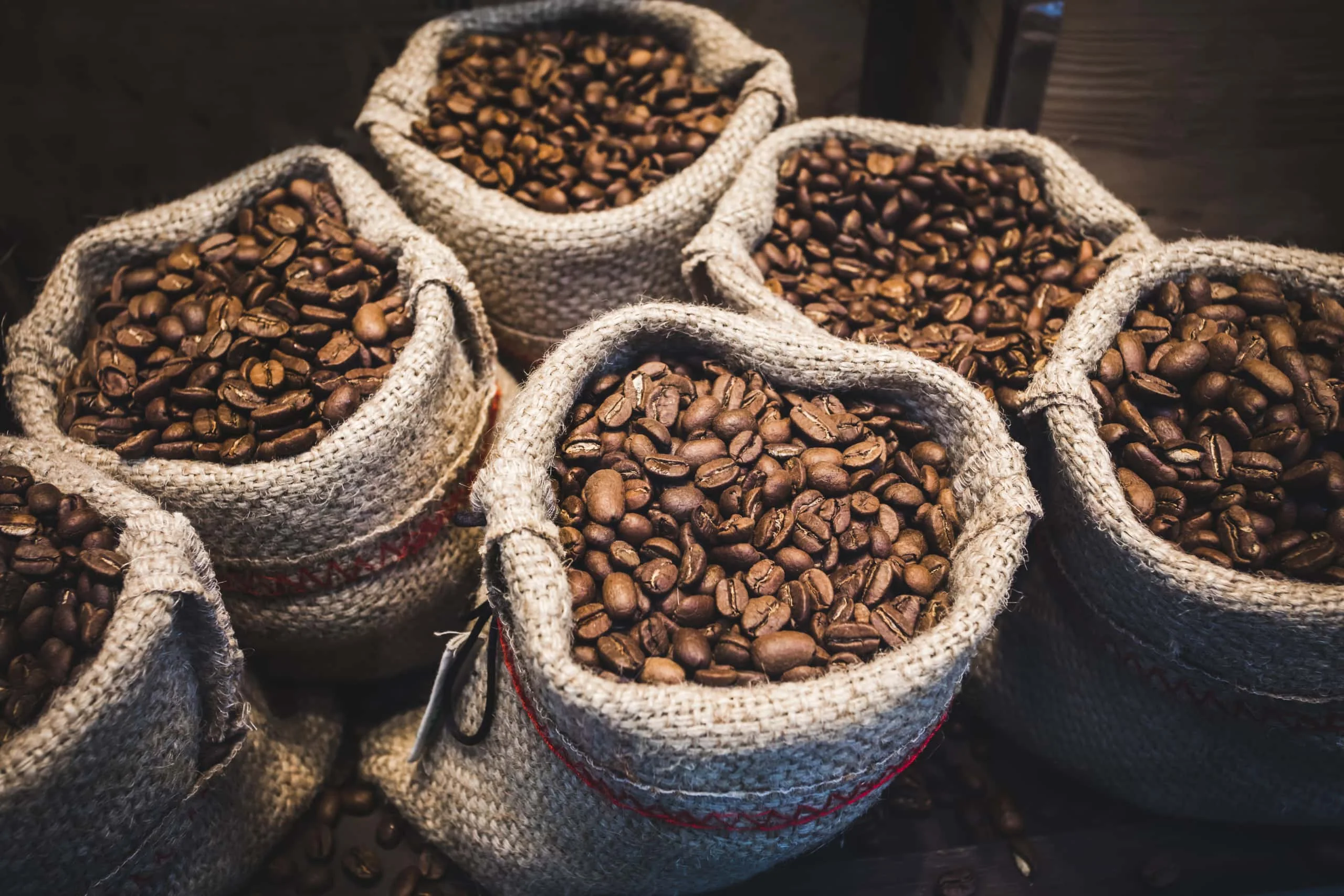Robusta Coffee Beans