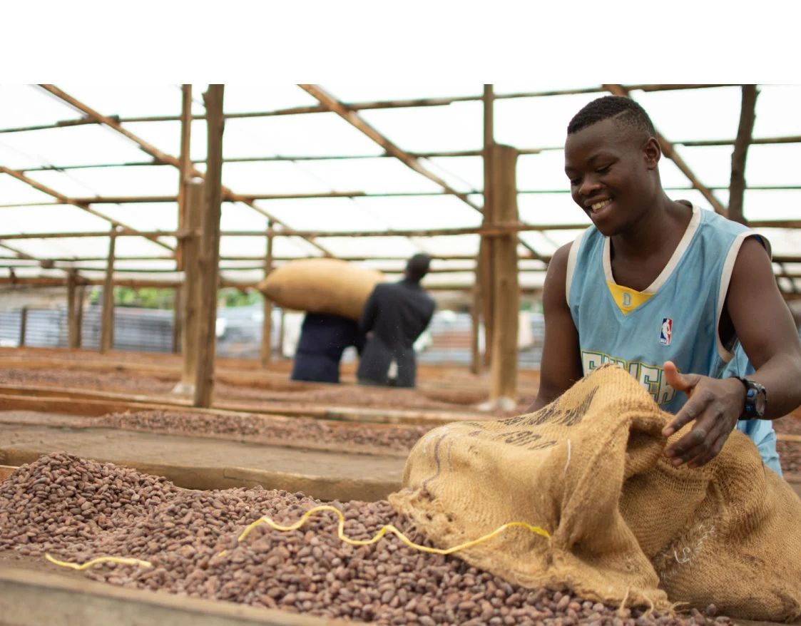 Organic Cocoa Beans