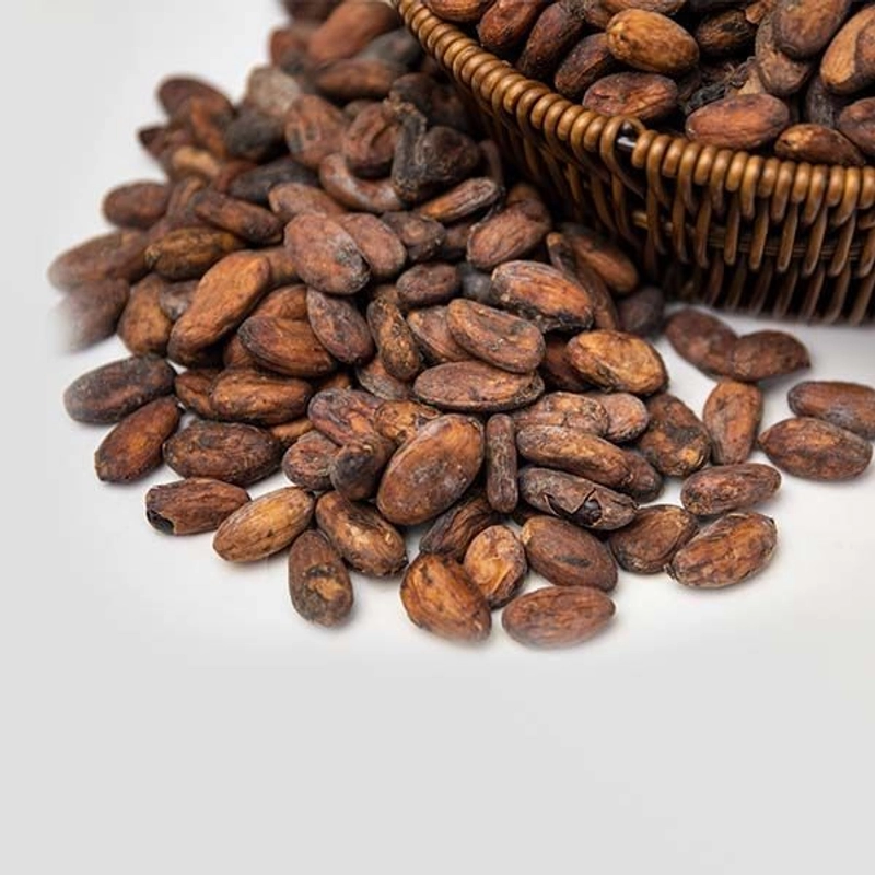 Raw Cocoa Beans – Grade B (Bulk/Commercial Grade)