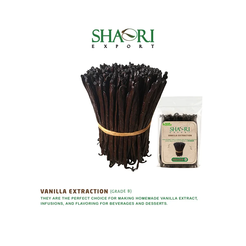 Vanilla Extraction (Grade B)