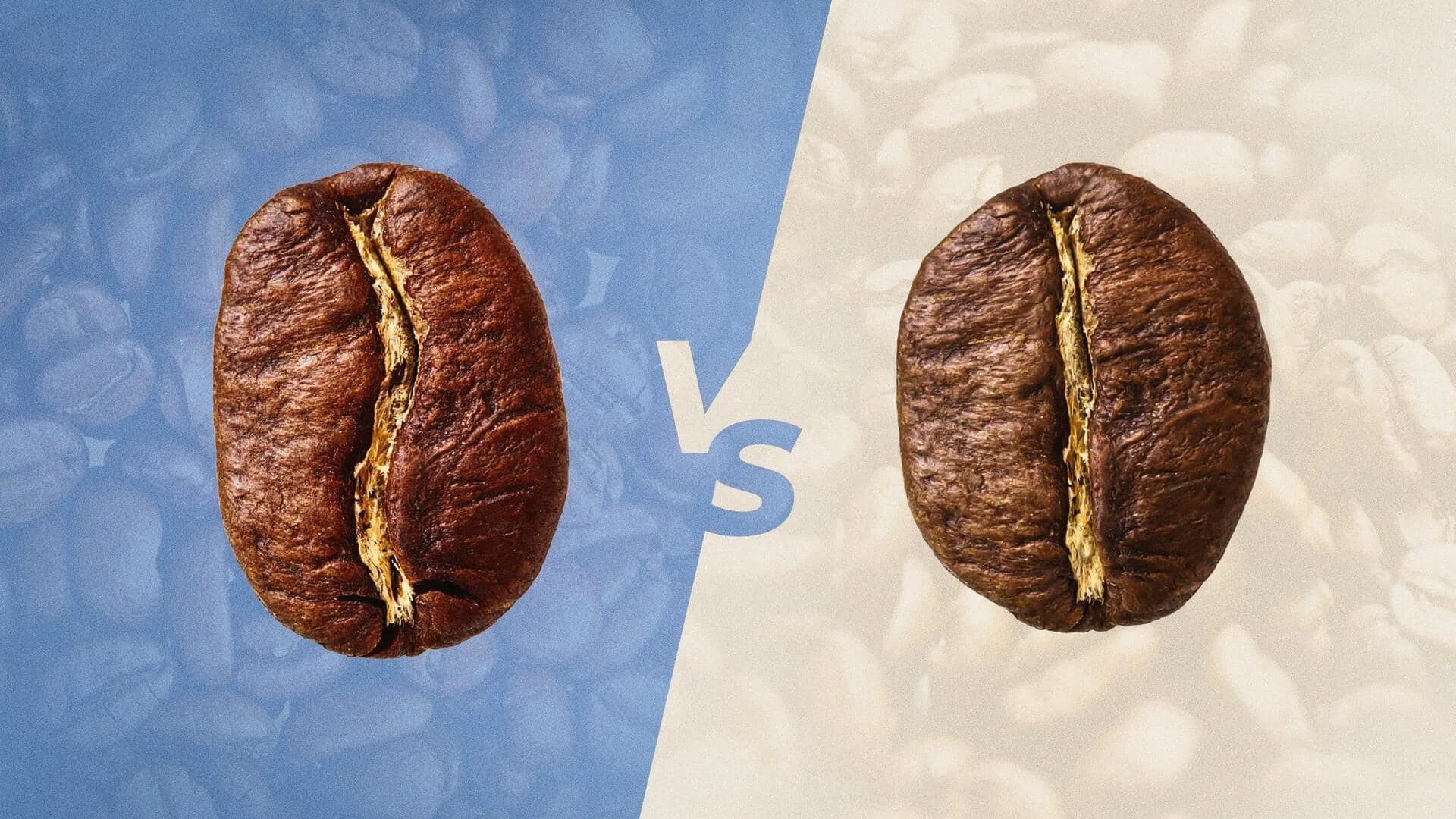 Arabica & Robusta Coffee Blend