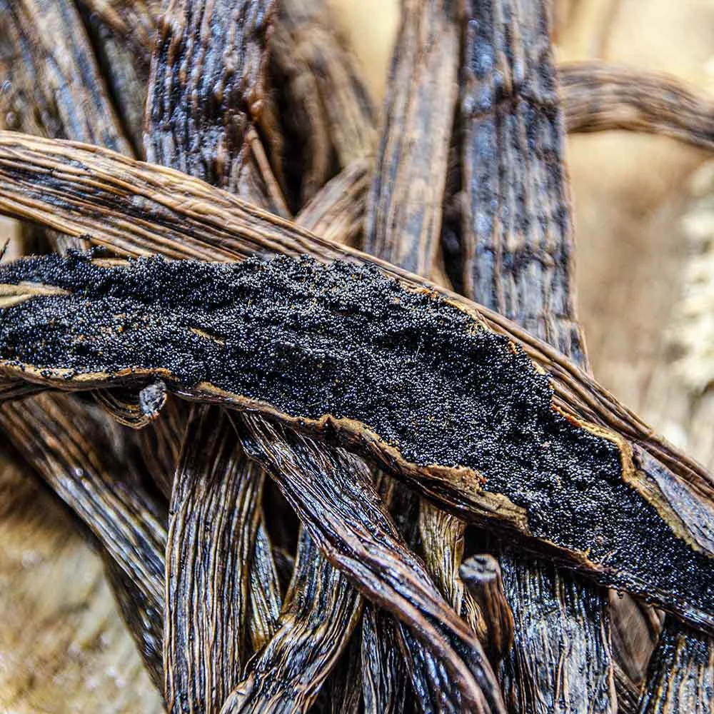 Vanilla Caviar