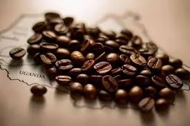 Arabica & Robusta Coffee Blend