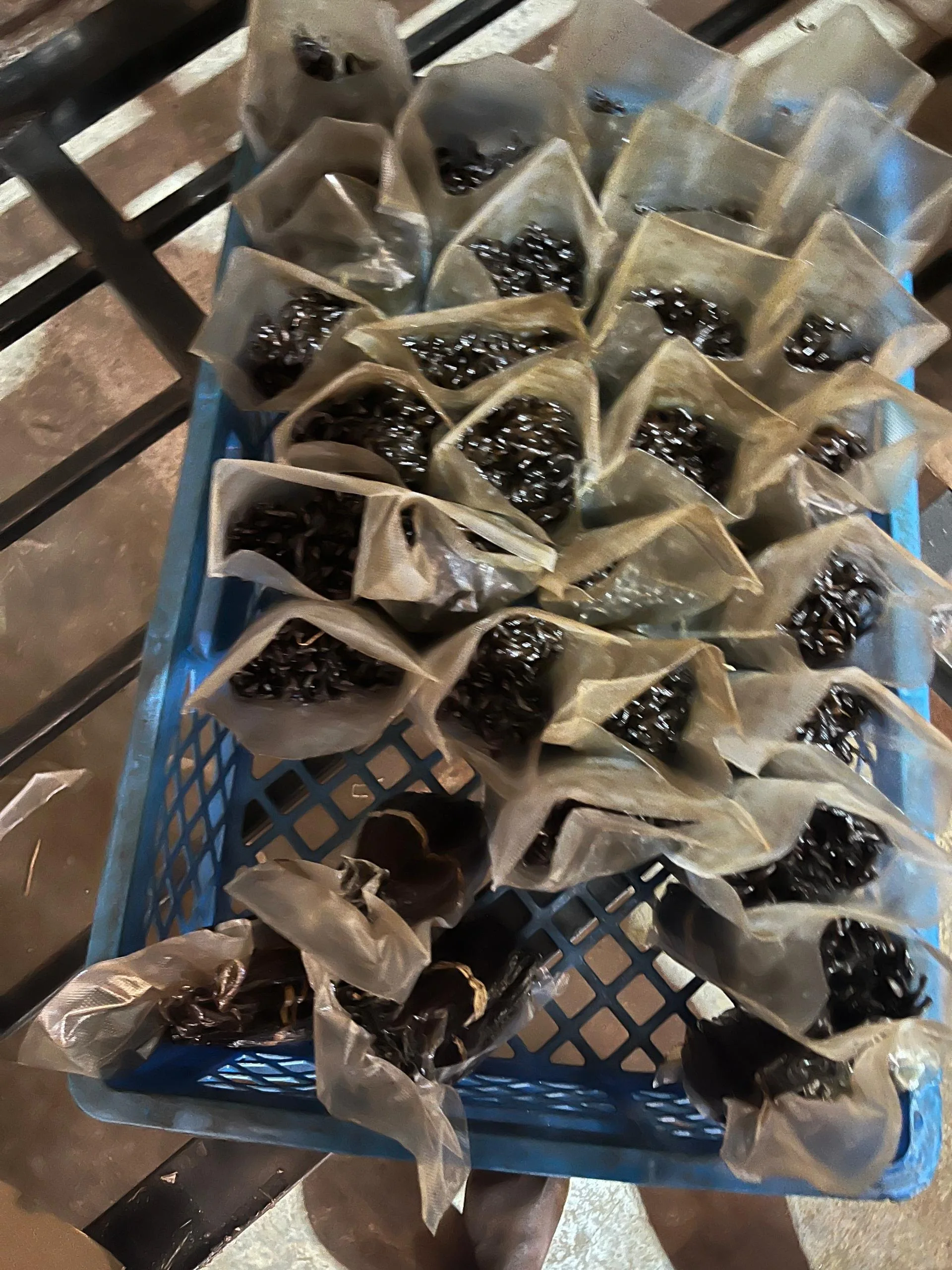 Vanilla Beans Gourmet